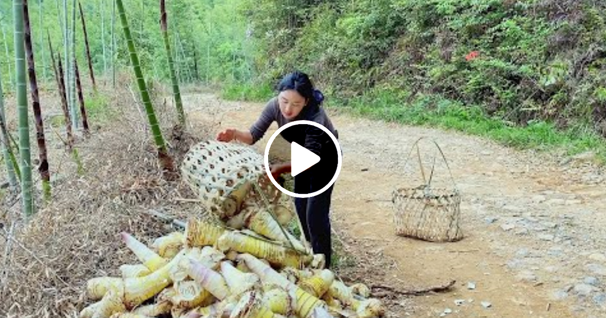 How To Processing Millions Bamboos To Product Straws Bamboo Houses